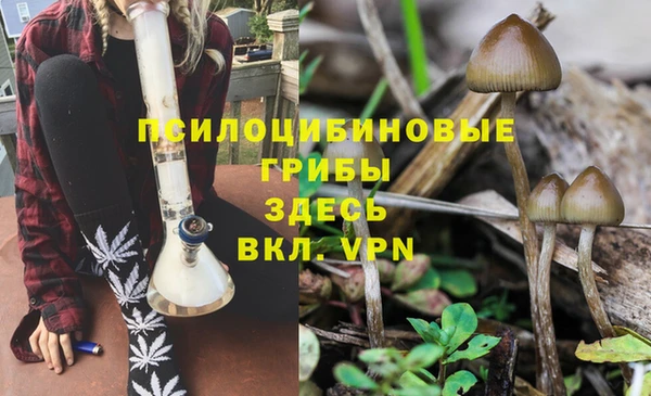 первитин Покачи