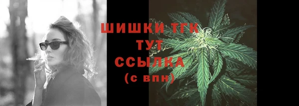 тгк Протвино