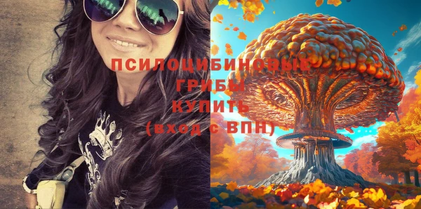 первитин Покачи